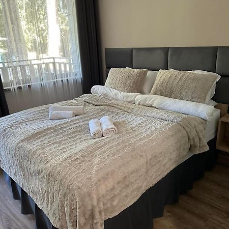 Cozy Riverside Pine Studio E5 Μπόροβετς Εξωτερικό φωτογραφία