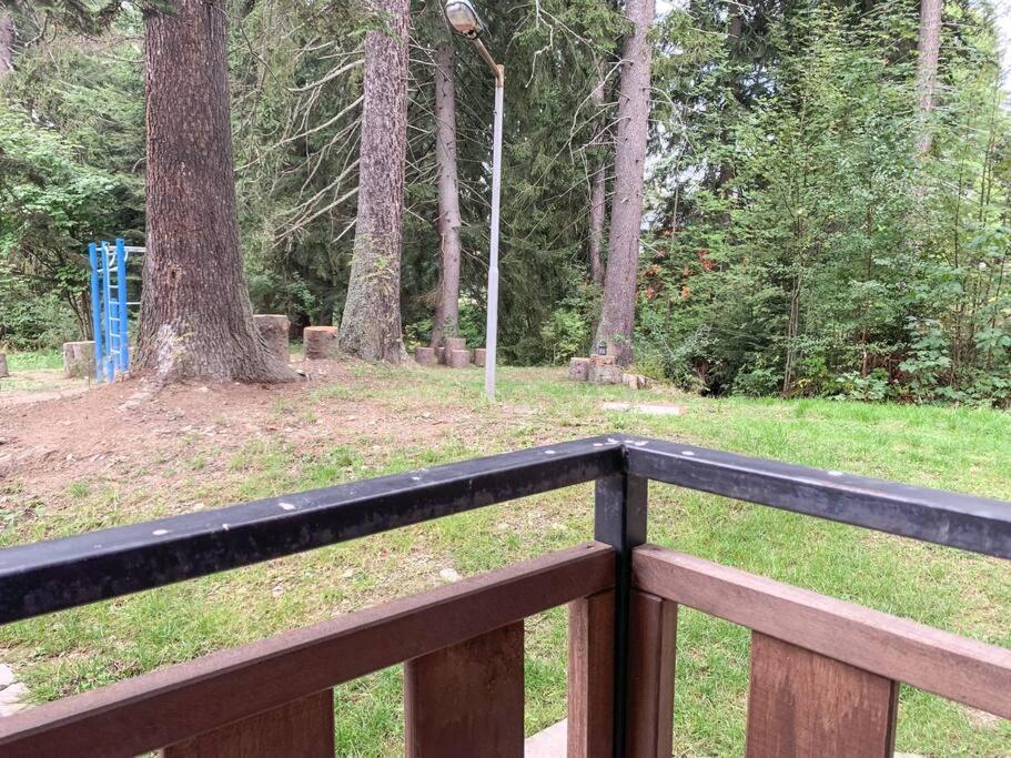 Cozy Riverside Pine Studio E5 Μπόροβετς Εξωτερικό φωτογραφία