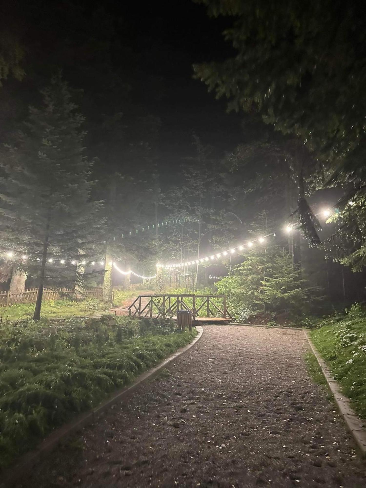 Cozy Riverside Pine Studio E5 Μπόροβετς Εξωτερικό φωτογραφία